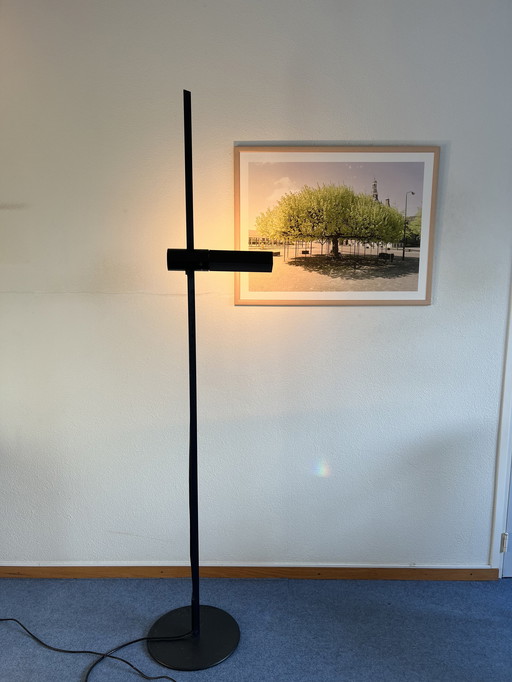 Gianfranco Frattini Design floor lamp Luci Caltha