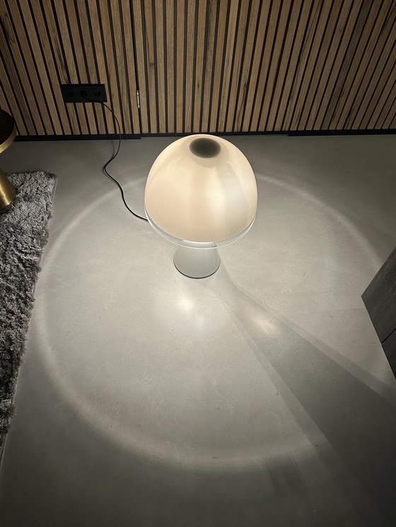 Image 1 of iGuzzini model 4044 Baobab table lamp