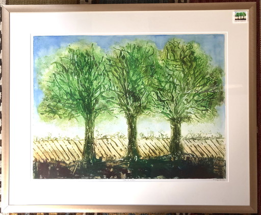 Color etching: The 3 oaks, Margo Ellen