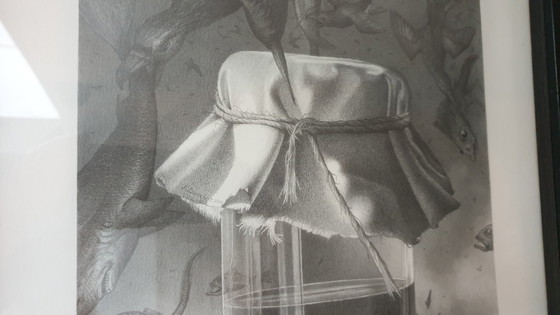 Image 1 of Annemarie Busschers Drawing