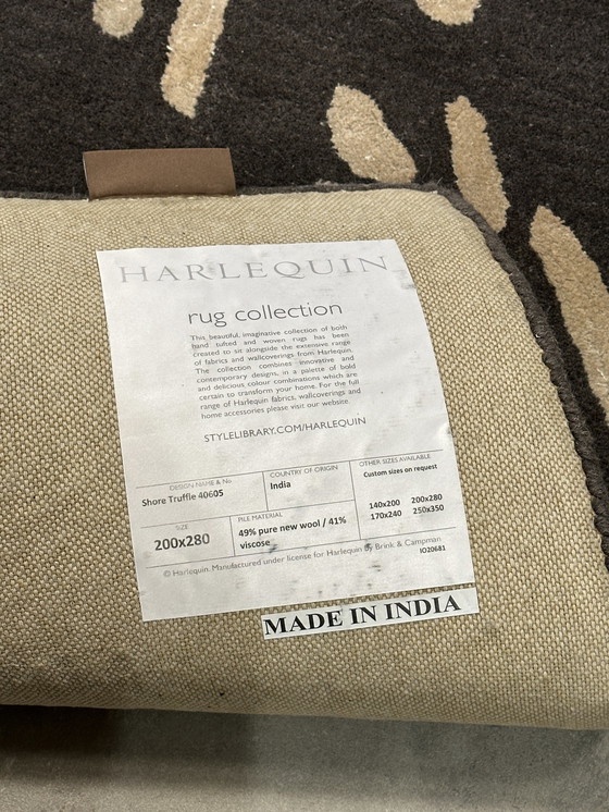 Image 1 of Brink and Campman Shore Truffle Rug