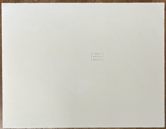 Image 1 of Guillaume Corneille Litografía Aves