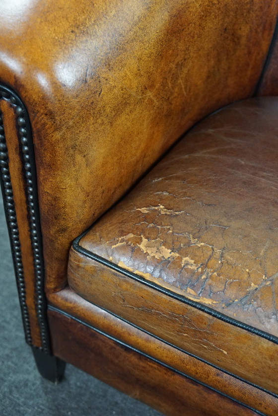 Image 1 of Sheep leather club armchair