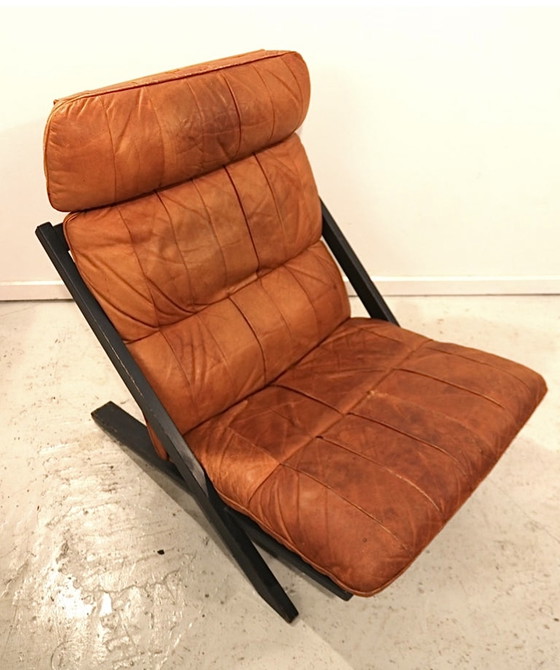 Image 1 of De Sede DS80 Lounge Chair by Ueli Berger