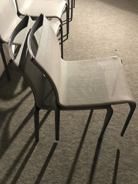 Image 1 of 6x Alias chairs