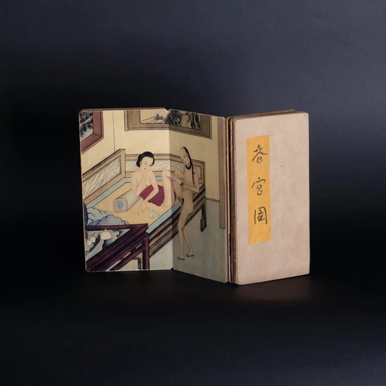 Image 1 of Vintage set of 5 Shunga Japanese and Chinese erotic pillow books.