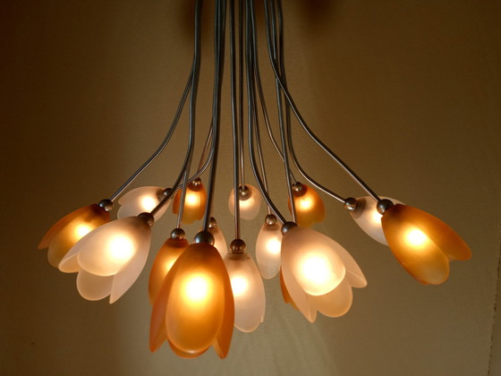 Image 1 of Harco Loor design lampe suspendue 15 tulipes