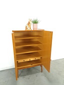 Veneer design vintage wardrobe Mezulanik, light, closet