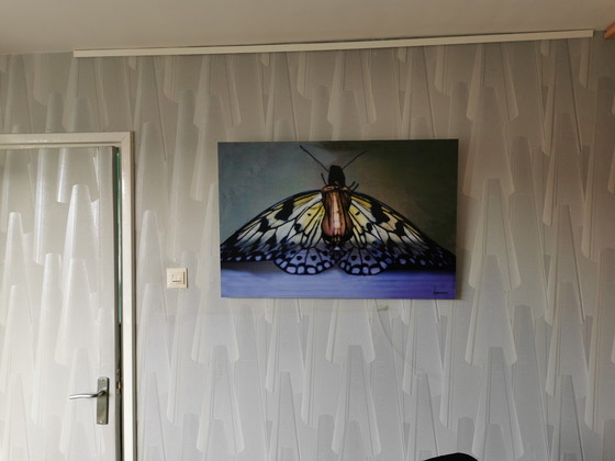 Image 1 of Johan van Dreven - Butterfly