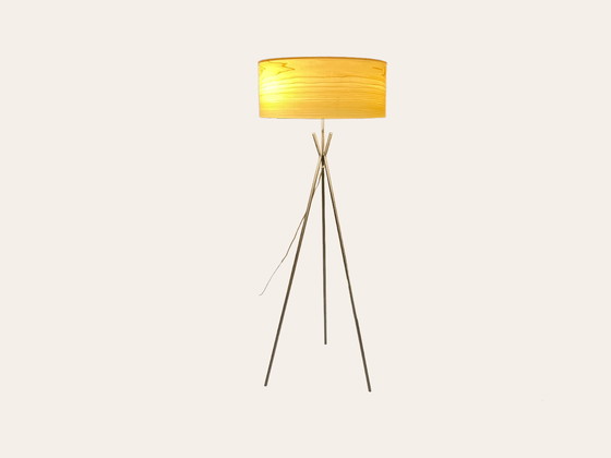 Image 1 of LZF Cosmos lamp