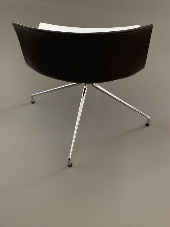 Image 1 of 6 Arper Catifa 53 Design chairs