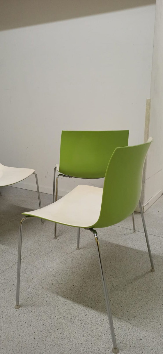 Image 1 of 4x Arper Catifa bicolor steel, set