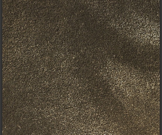 Image 1 of Brink & Campman Liscio carpet