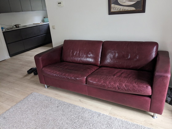 Image 1 of Machalke 2.5 seater sofa