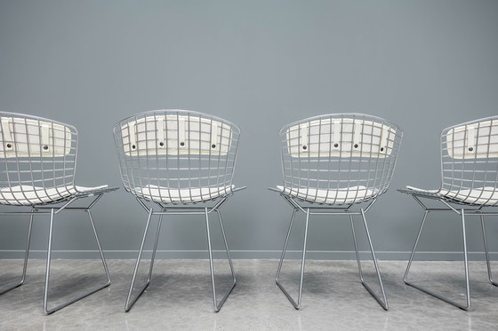 Image 1 of Knoll side chair by Harry Bertoia