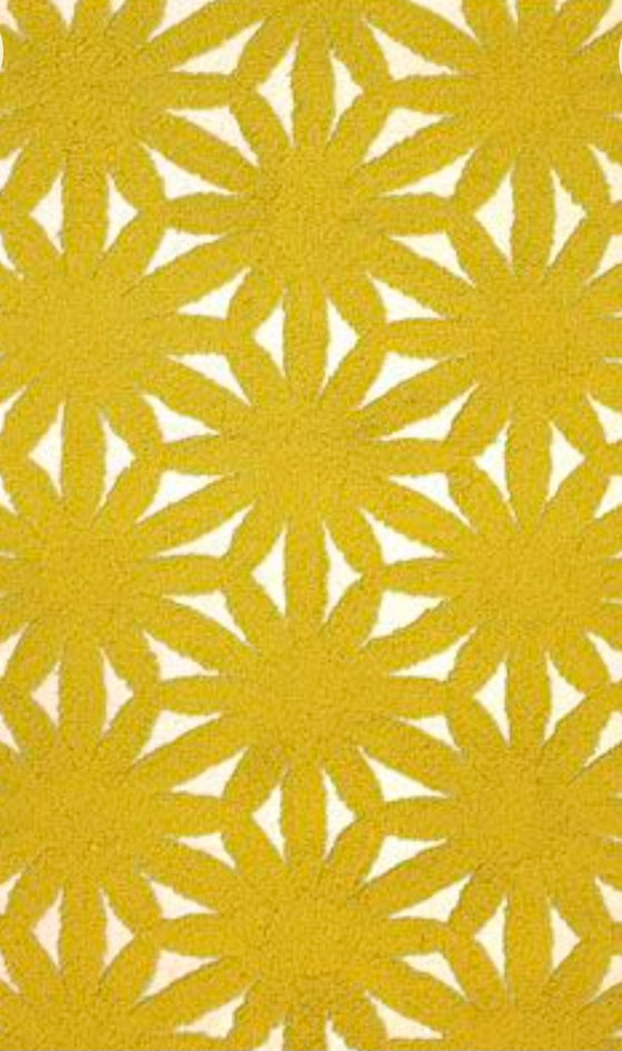 Image 1 of Patricia Urquiola rug