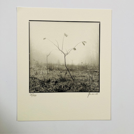 Ralph Janowski - untitled photo print