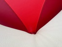 Leolux Pallone Armchair red Design