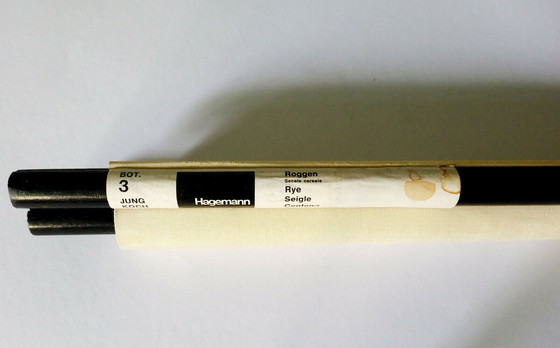 Image 1 of manifesto botanico vintage della scuola di segale degli anni &#39;60