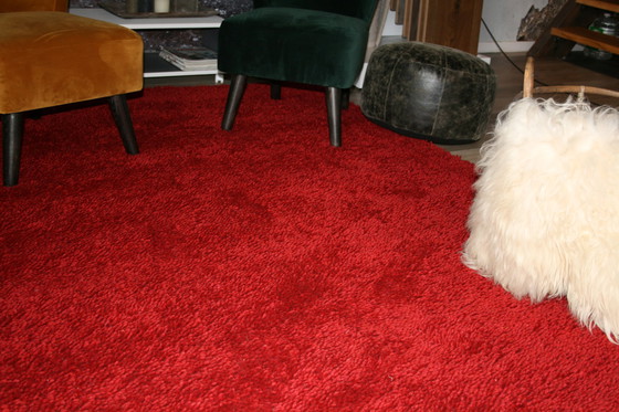 Image 1 of Brink & Campman rug