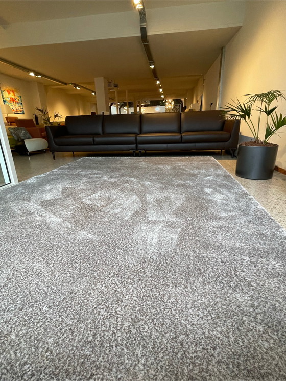 Image 1 of Leolux Amund Husky carpet