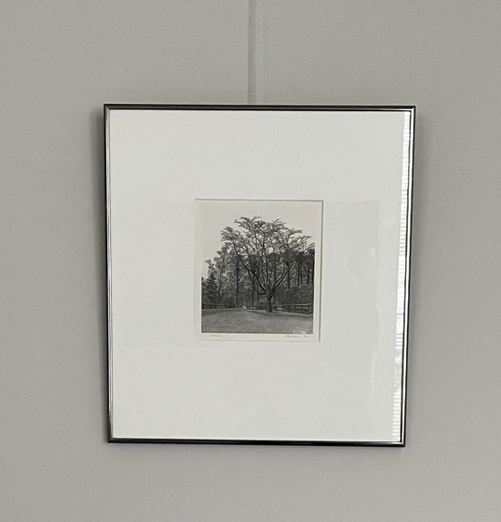 Image 1 of Philip Wiesman - etching