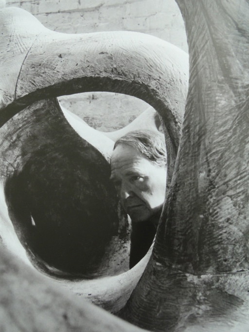 Nick Ervinck-Henry Moore - Beautiful bound edition