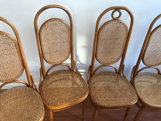 Image 1 of Chaises à manger Michael Thonet