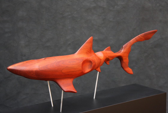 Image 1 of Marcus-Meyer -Le requin bleu de Bubinga