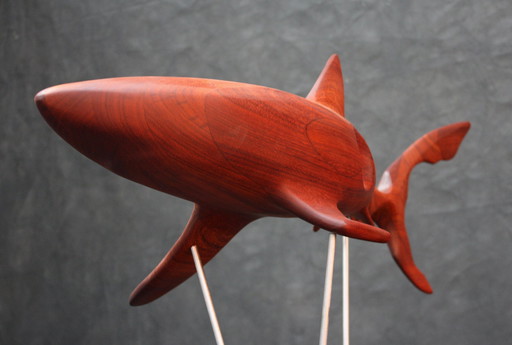 Marcus-Meyer -The blue shark from Bubinga