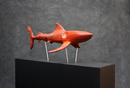 Marcus-Meyer -The blue shark from Bubinga