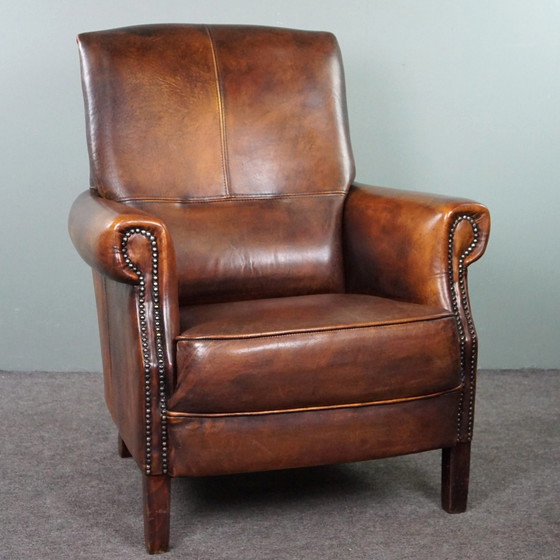 Image 1 of Sheep leather armchair with high back and in good condition