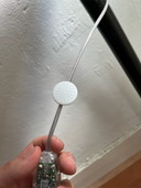 Moooi pet light purrr