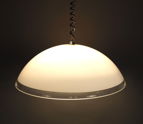 Image 1 of IGuzzini Baobab hanging lamp