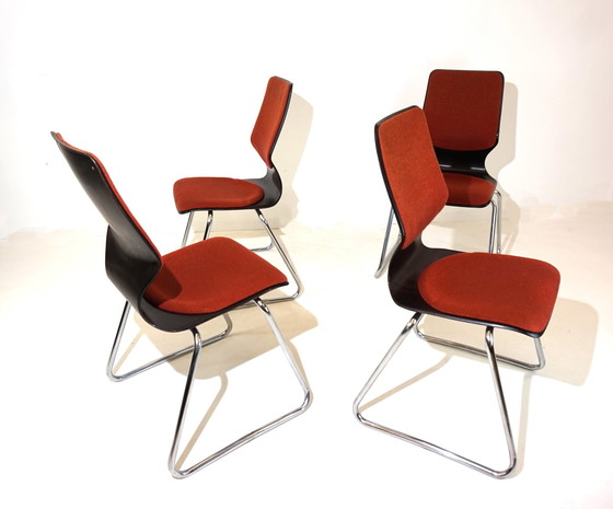 Image 1 of Flötotto set of 4 Pagholz chairs by Elmar Flötotto