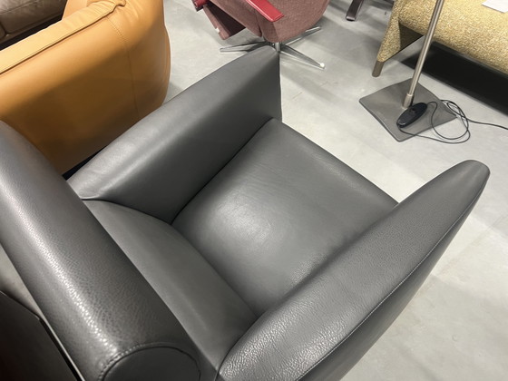 Image 1 of Leolux Goncharov Armchair gray leather 