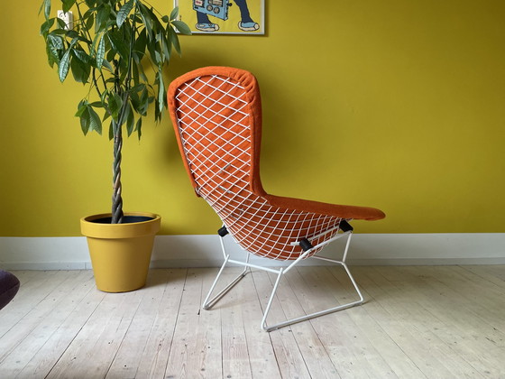 Image 1 of Knoll Harry Bertoia Bird Chair