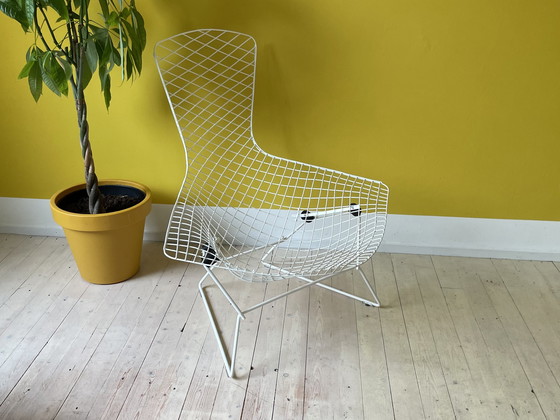 Image 1 of Knoll Harry Bertoia Bird Chair