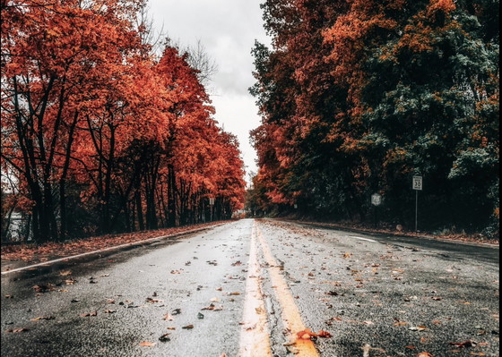 Image 1 of Fabian Kimmel- Road to nowhere, USA