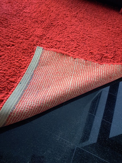 Iselle Carpet