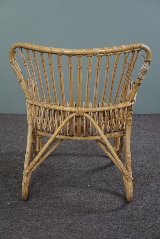 Image 1 of Rattan Dutch Design Style Belse 8 armchair, 1950