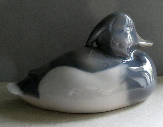 Image 1 of Peter Herold duck