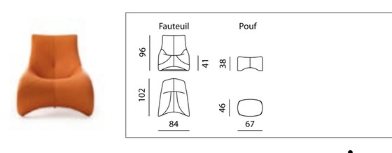 Image 1 of Leolux Darius fauteuil avec pouf