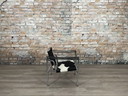 Vintage Armchair Lounge Cowskin