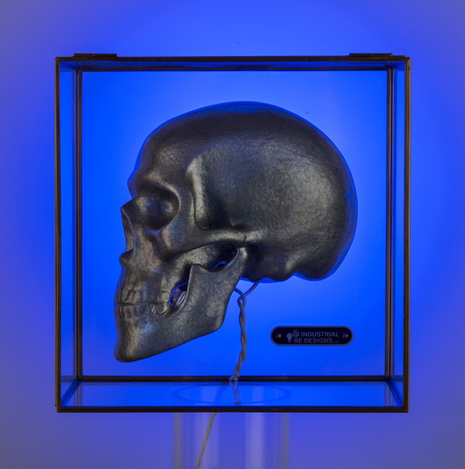 Industrial Re-designs Skull in glazen box