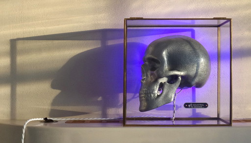 Industrial Re-designs Skull in glazen box