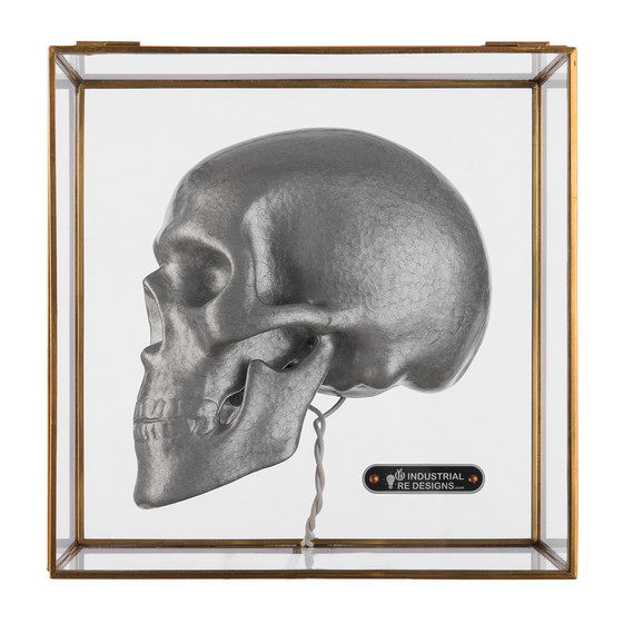 Image 1 of Industrial Re-designs Skull in glazen box