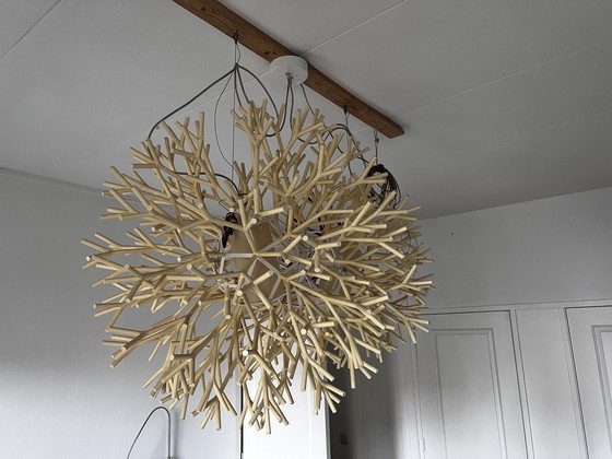 Image 1 of Pallucco - Lampe pendante en corail