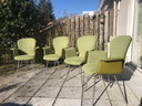 6x Bert Plantage dining room chair