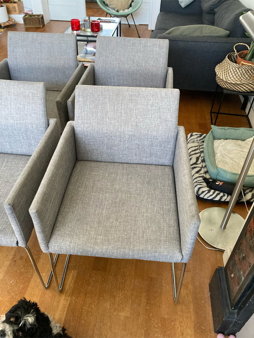 6x Montel dining room chairs